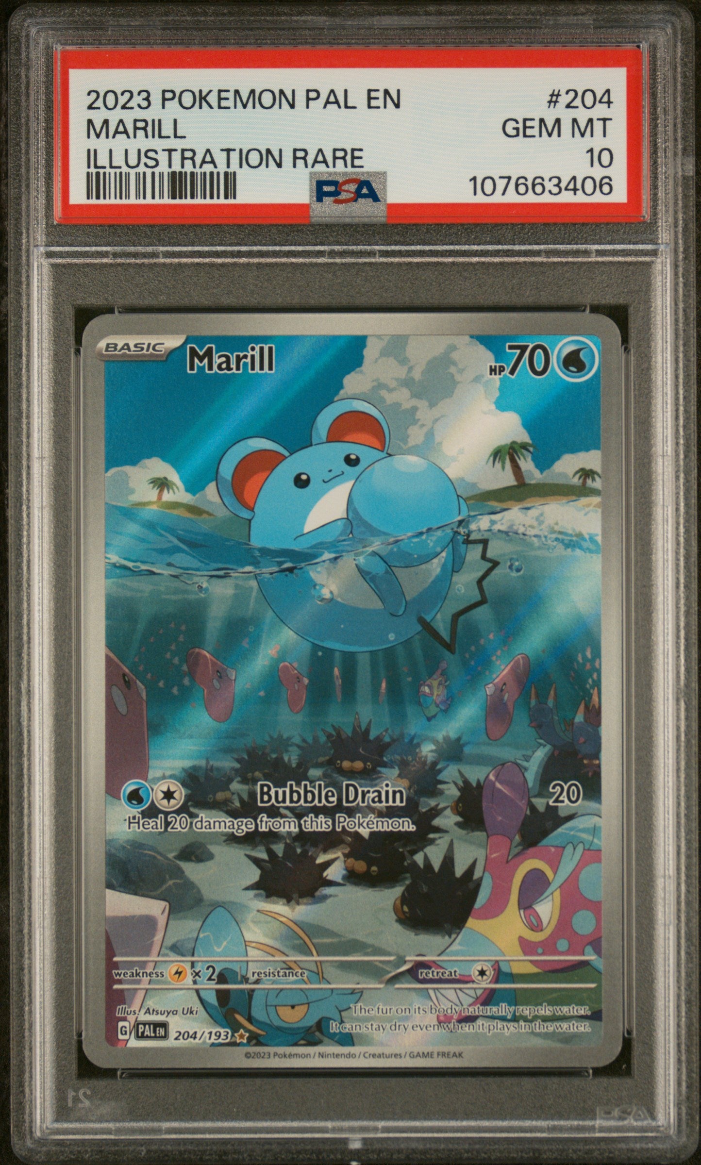 2023 Pokemon Pal En-Paldea Evolved #204 Marill PSA 10