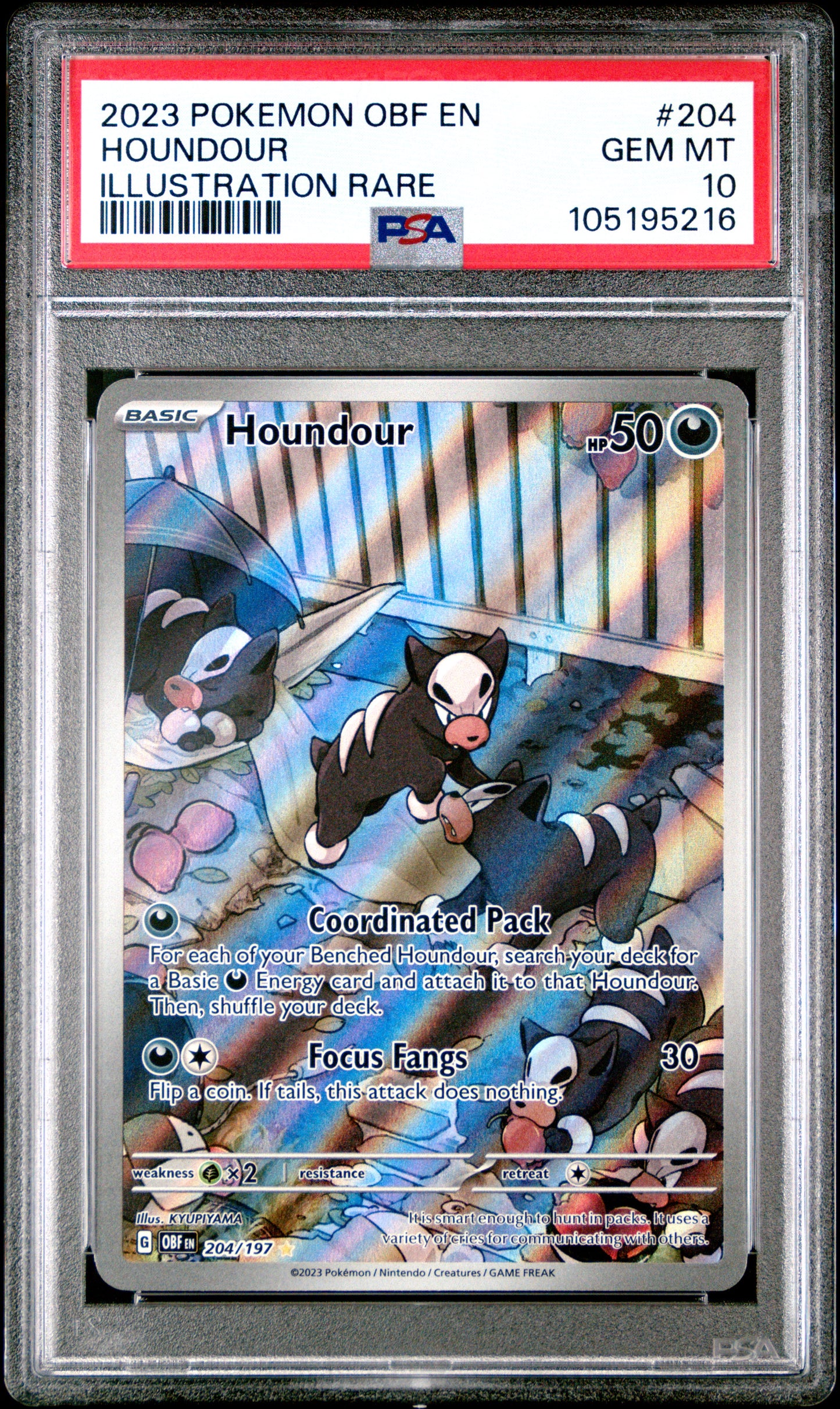 2023 Pokemon Obf En-Obsidian Flames #204 Houndour PSA 10