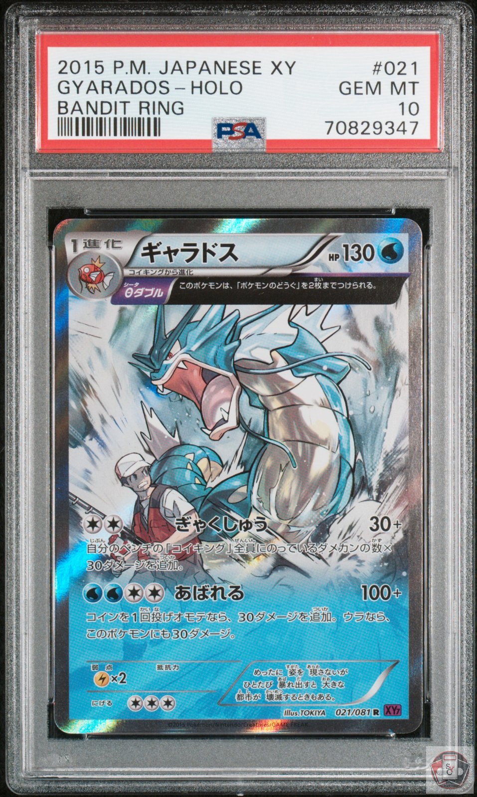 Gyarados Holo 021/081 Bandit Ring Pokemon Japanese PSA 10 Gem Mint